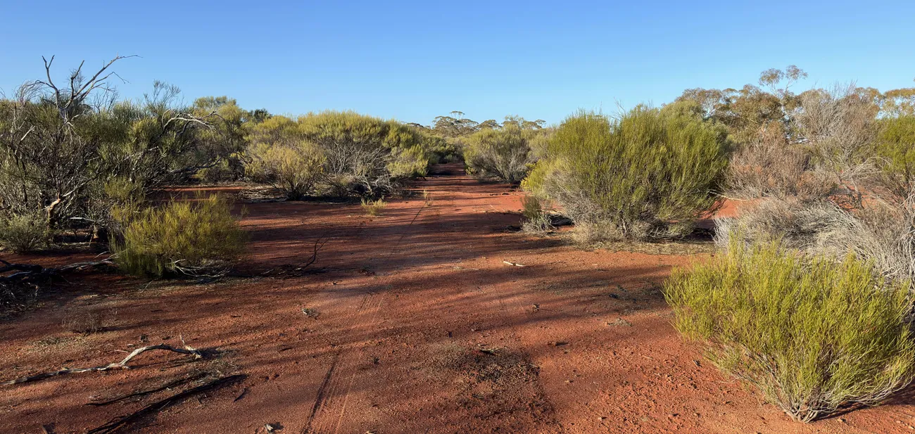 Remote exploration access tracks through scrub, mapped for logistics planning