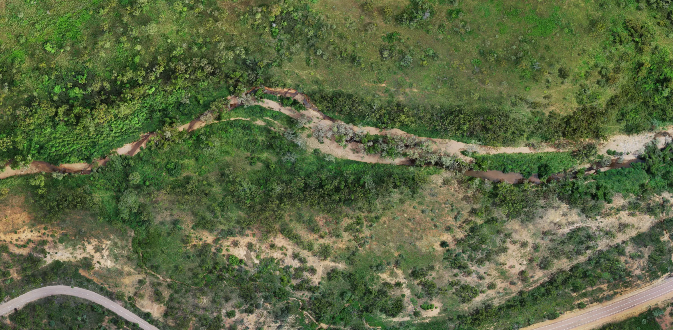 Orthomosaic over vegetated terrain from a drone survey